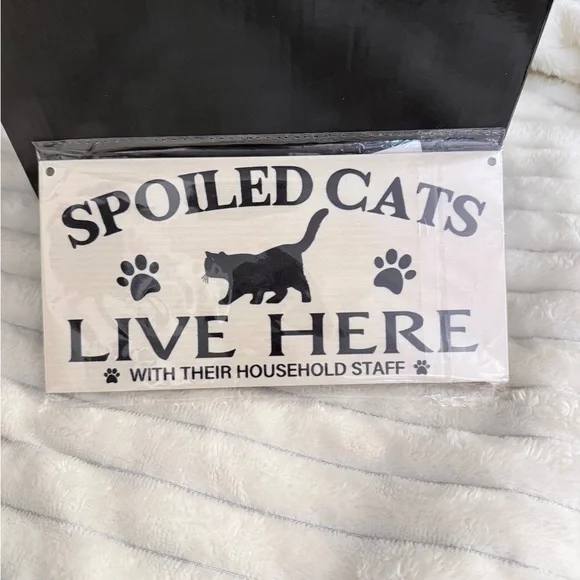 ONE Inspirational Wooden Wall Sign -Prayer & Cat Quotes - Picture 4 of 5